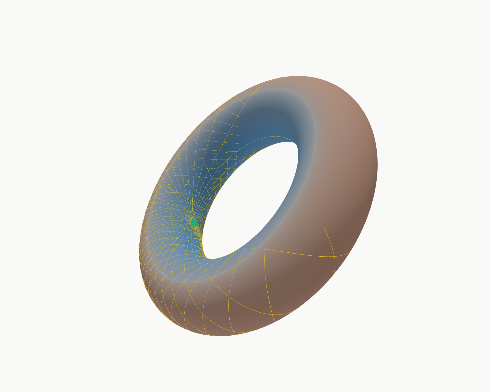 Geodesics sprayed from a point on a torus, coloured by Gaussian curvature